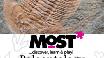 Paleontology for Kids - MOST Museum of Science and Technology