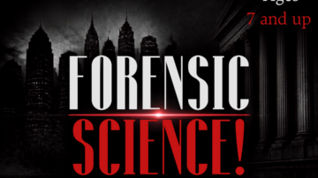 STEAM Lab Forensics